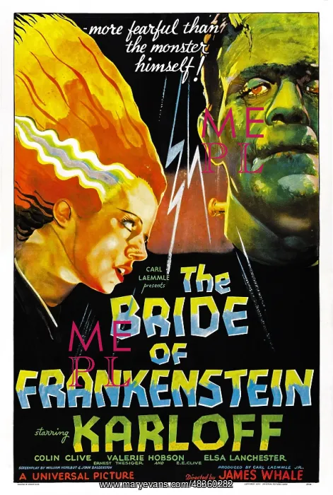 : Bride of Frankenstein a 1935 American horror : Bride of Frankenstein a 1935 American horror