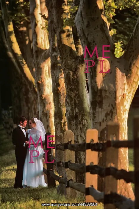 : Bride and Groom Outdoors : Bride and Groom Outdoors