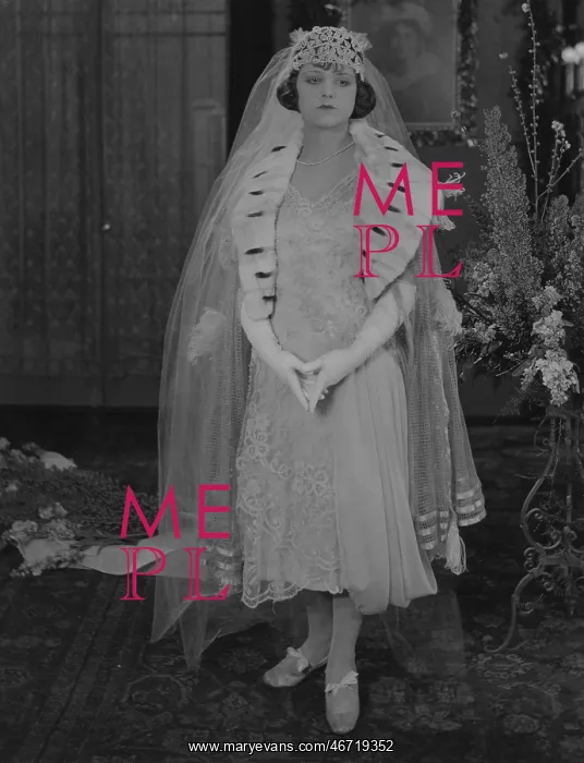 : The bride wears ermine : The bride wears ermine
