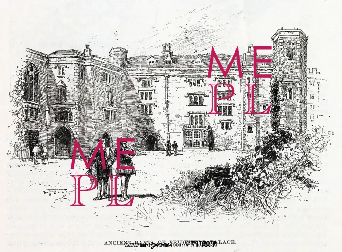 : Bridewell Palace, London : Bridewell Palace, London