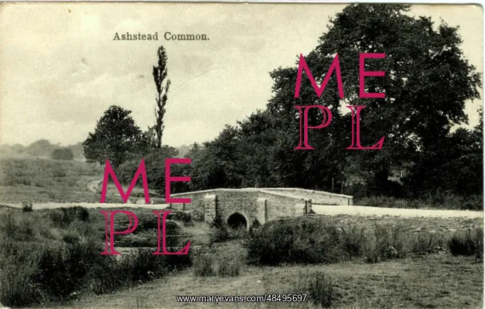 : The Bridge, Ashstead Common, Surrey : The Bridge, Ashstead Common, Surrey