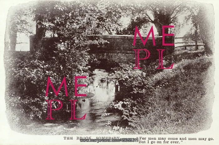 : Bridge over the Brook - Somersby : Bridge over the Brook - Somersby