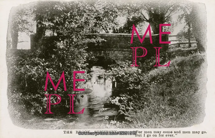 : Bridge over the Brook at Somersby, Lincs : Bridge over the Brook at Somersby, Lincs