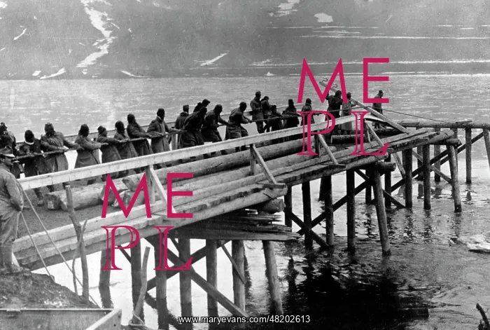 : Bridge building in Serbia, 1916 : Bridge building in Serbia, 1916