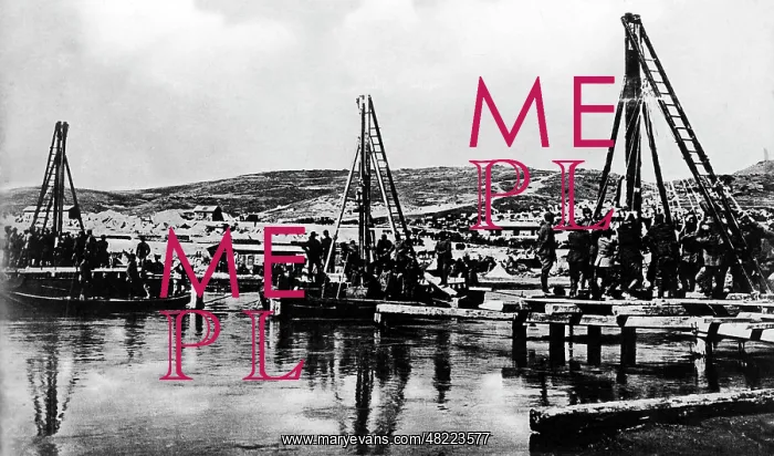 : Bridge construction across the Cerna, 1917 : Bridge construction across the Cerna, 1917