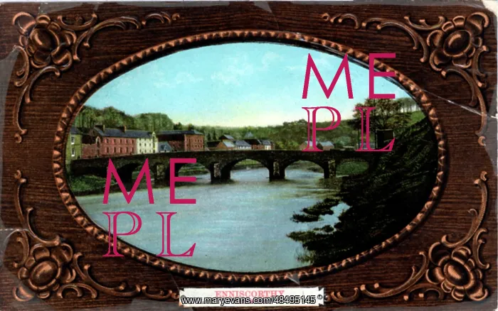 : The Bridge, Enniscorthy, County Wexford : The Bridge, Enniscorthy, County Wexford
