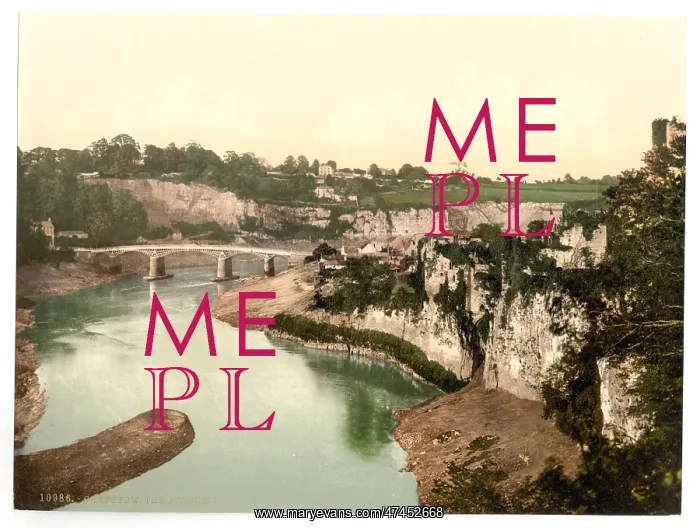 : The bridge, I, Chepstow, England : The bridge, I, Chepstow, England
