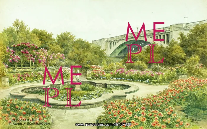 : Bridge and Lily Pond, Peasholm, Scarborough, North Yorkshire : Bridge and Lily Pond, Peasholm, Scarborough, North Yorkshire
