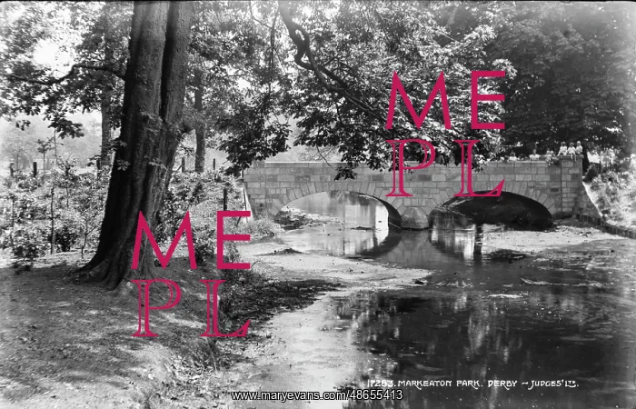: Bridge at Markeaton Park : Bridge at Markeaton Park