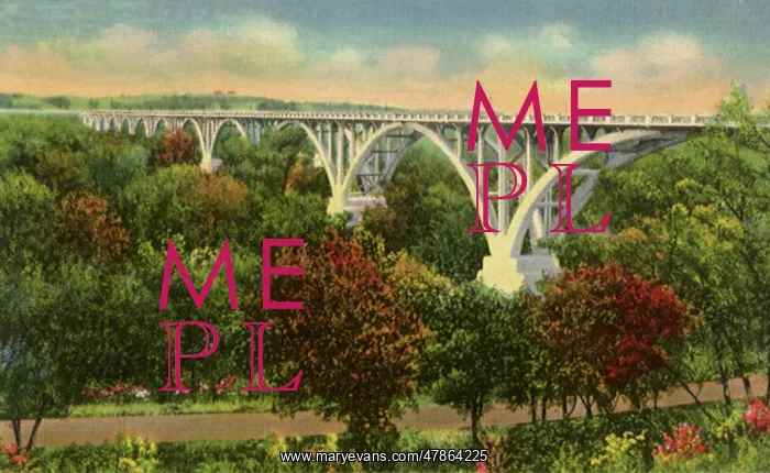  : Bridge. Mendota