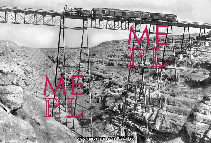 : Bridge in Mexico, 1903 : Bridge in Mexico, 1903
