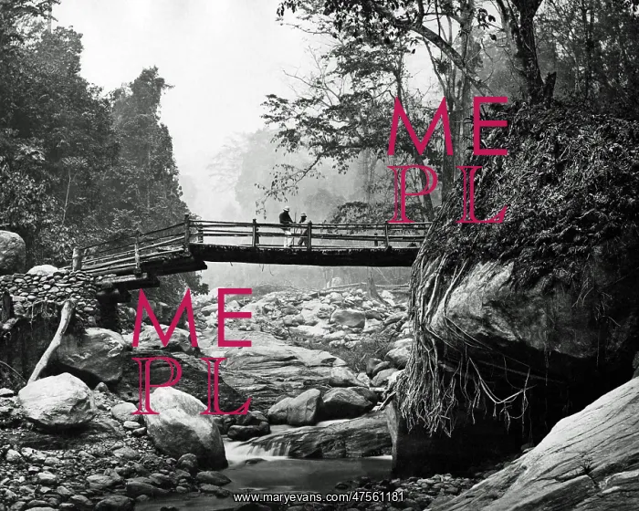 : Bridge over Rungnoo River, Darjeeling, India : Bridge over Rungnoo River, Darjeeling, India