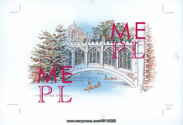 : The Bridge of Sighs, Cambridge : The Bridge of Sighs, Cambridge