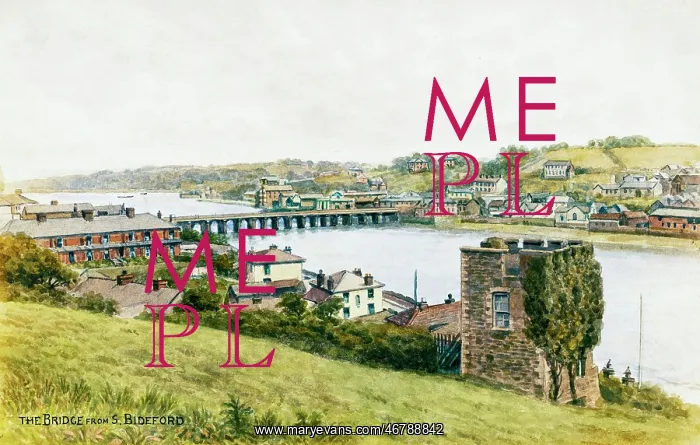  : Bridge viewed from South Bideford, North Devon