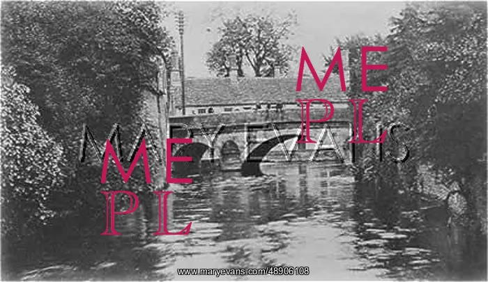  : BRIDGE AT WITNEY