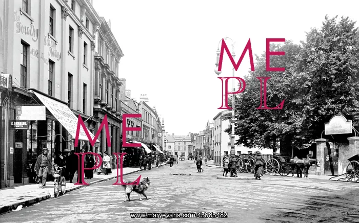  : Bridgend, Dunraven Place 1910