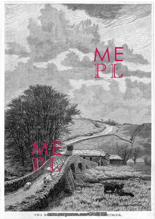 : TWO BRIDGES DARTMOOR : TWO BRIDGES DARTMOOR