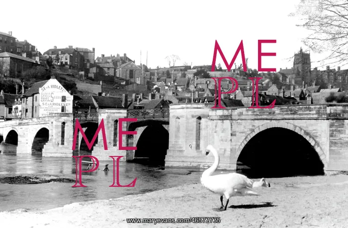 : Bridgnorth, Severn Bridge c1950