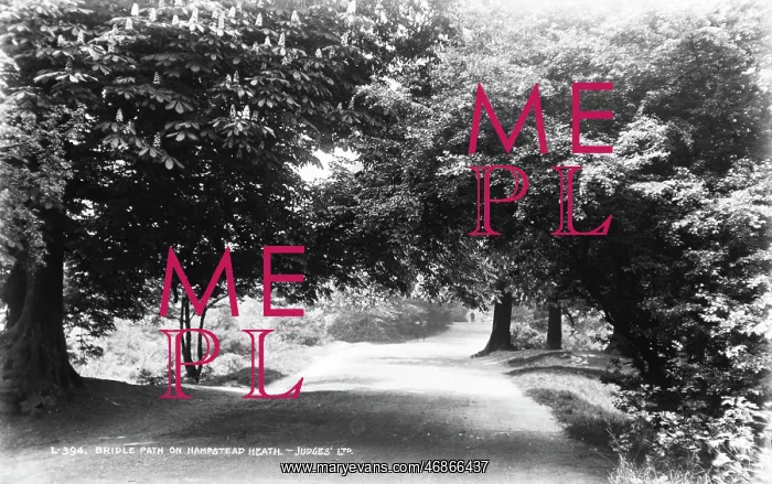 : Bridle Path on Hampstead Heath : Bridle Path on Hampstead Heath