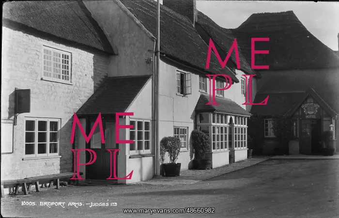 : Bridport Arms Hotel : Bridport Arms Hotel