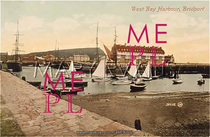  : BRIDPORT / DORSET / 1903