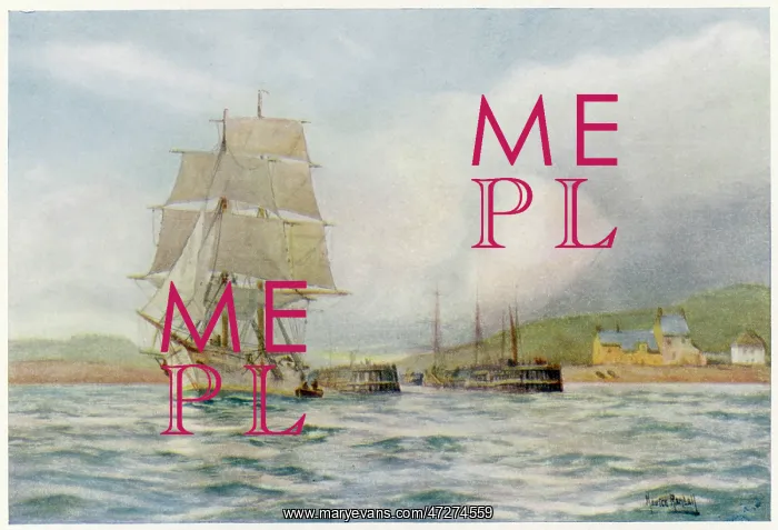 : BRIDPORT / DORSET / 1908 : BRIDPORT / DORSET / 1908