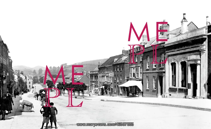  : Bridport, West Street 1902
