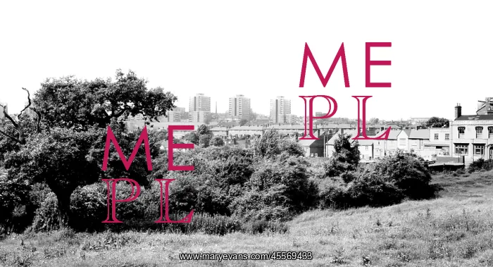  : Brierley Hill, from Amblecote Road c1965
