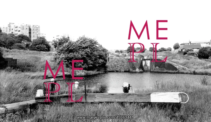  : Brierley Hill, Delph Locks c1965