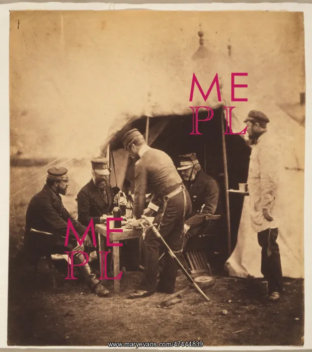 : Brigadier Garrett & officers of the 46th Regiment : Brigadier Garrett & officers of the 46th Regiment
