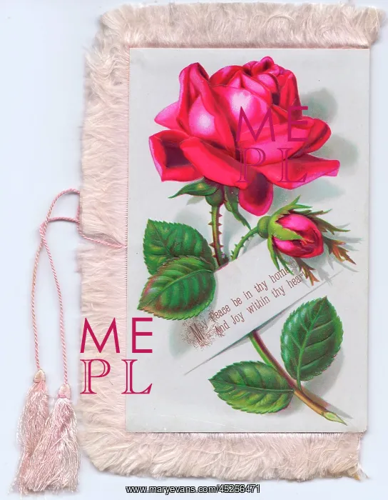 : Bright pink roses on a fabric greetings card : Bright pink roses on a fabric greetings card