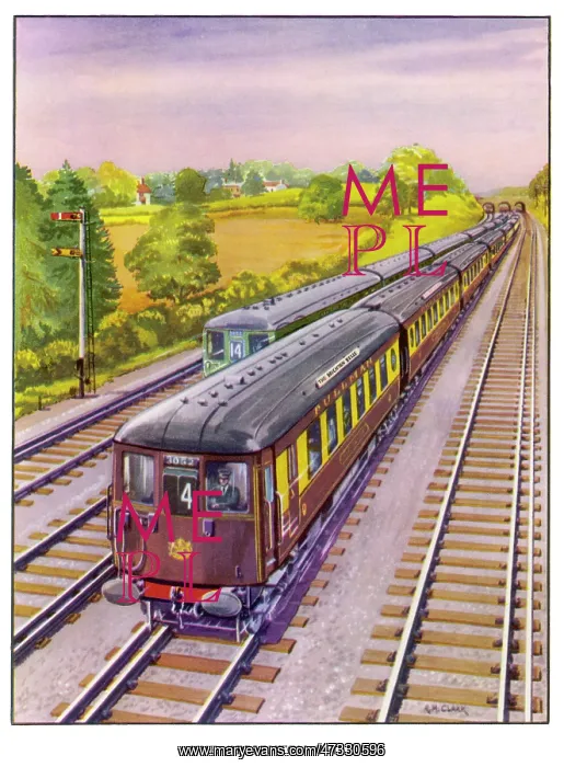 : THE BRIGHTON BELLE : THE BRIGHTON BELLE