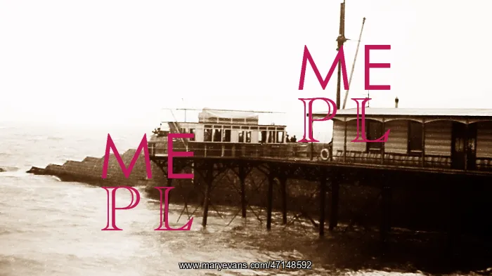  : Brighton Daddy Long Legs