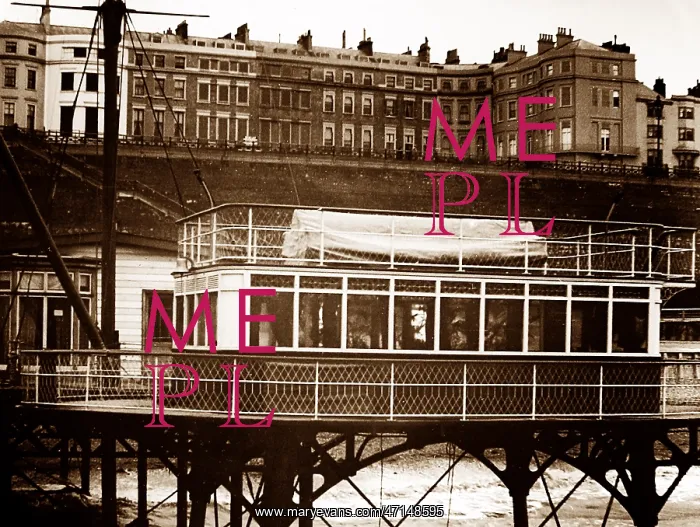  : Brighton Daddy Long Legs