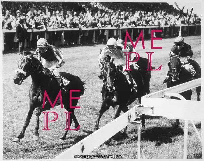 : BRIGHTON HORSE RACING : BRIGHTON HORSE RACING