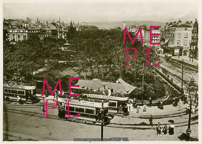  : BRIGHTON / OLD STEINE GDNS
