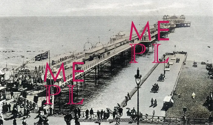  : BRIGHTON / PALACE PIER