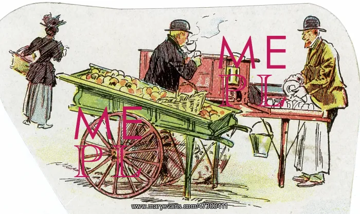: BRIGHTON TRADERS / 1899 : BRIGHTON TRADERS / 1899