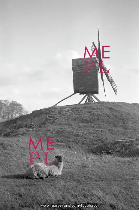 : Brill Windmill, Buckinghamshire : Brill Windmill, Buckinghamshire