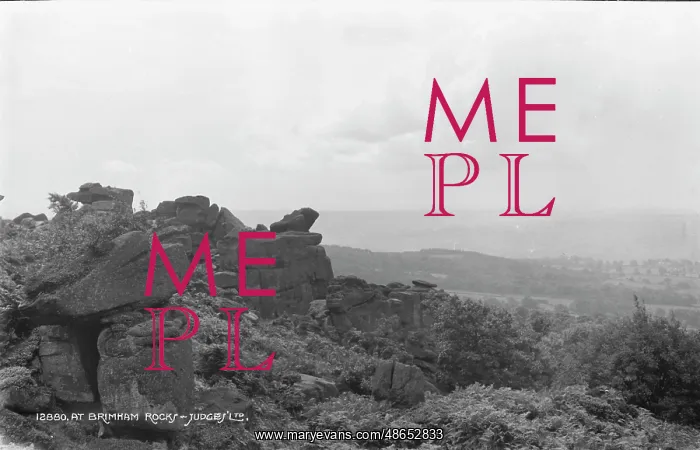 : At Brimham Rocks : At Brimham Rocks