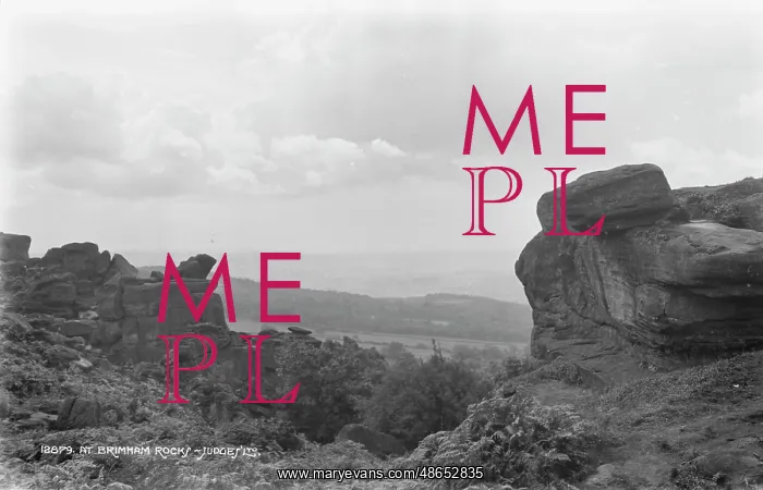 : At Brimham Rocks : At Brimham Rocks