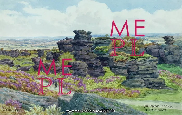 : Brimham Rocks, near Harrogate, North Yorkshire : Brimham Rocks, near Harrogate, North Yorkshire