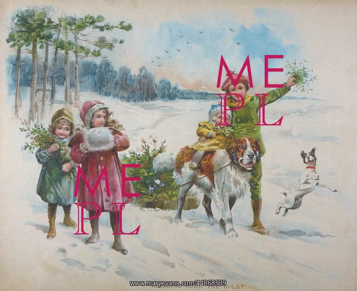  : BRINGING HOME THE HOLLY