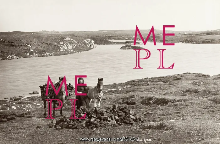 : Bringing home peat with a pony, Scotland : Bringing home peat with a pony, Scotland