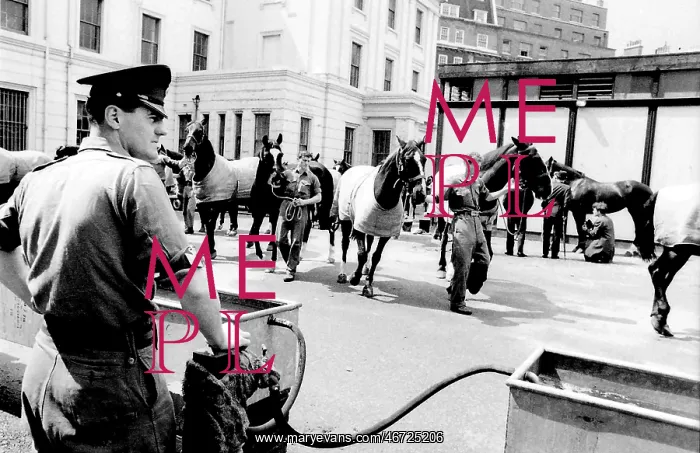 : Bringing horses to water : Bringing horses to water