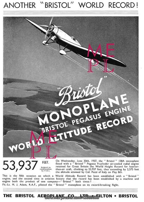 : Bristol 138A Monoplane : Bristol 138A Monoplane