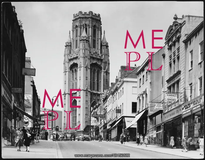  : BRISTOL 1950S