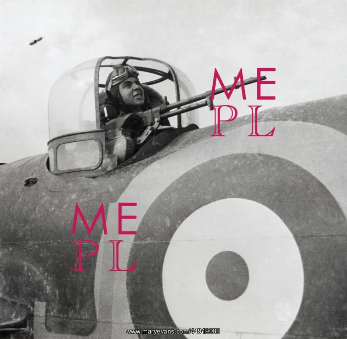 : Bristol Blenheim : Bristol Blenheim