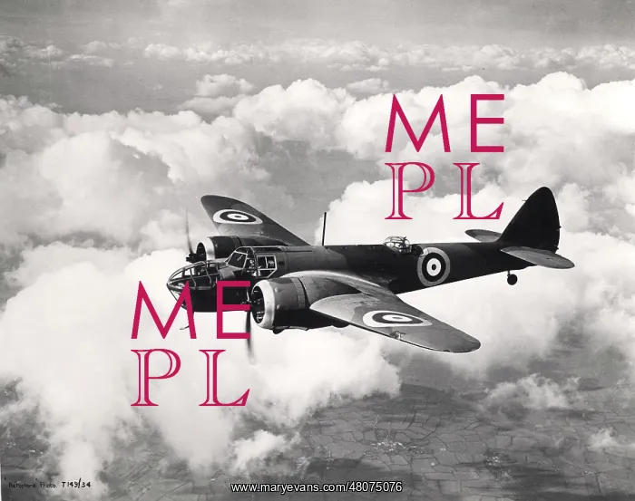 : Bristol Blenheim IV L4859 : Bristol Blenheim IV L4859
