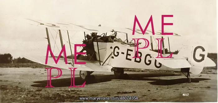 : Bristol Bloodhound, G-EBGG : Bristol Bloodhound, G-EBGG